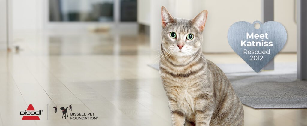 Bissell es una empresa que va más allá de la fabricación de aspiradoras, mostrando un fuerte compromiso con la responsabilidad social y el bienestar de los animales. A través de su colaboración con la Fundación Bissell Pet, cada compra de una aspiradora, incluida la Vertical Compacta Bissell CleanView, contribuye significativamente a la misión de salvar mascotas sin hogar. Este enfoque integrado no solo beneficia a los consumidores, que obtienen un producto eficaz, sino que también aborda un problema crítico en la sociedad actual.

La Fundación Bissell Pet se dedica a ayudar a animales necesitados, apoyando a refugios y organizaciones que trabajan incansablemente para encontrar hogares para mascotas abandonadas. Este compromiso se refleja en cada aspiradora vendida; una parte de las ganancias se destina a financiar proyectos que promueven la adopción y el cuidado de animales. Como resultado, los clientes no solo están adquiriendo una herramienta poderosa para mantener la limpieza de sus hogares, sino que también se convierten en parte de una causa mayor que busca mejorar la vida de miles de animales.